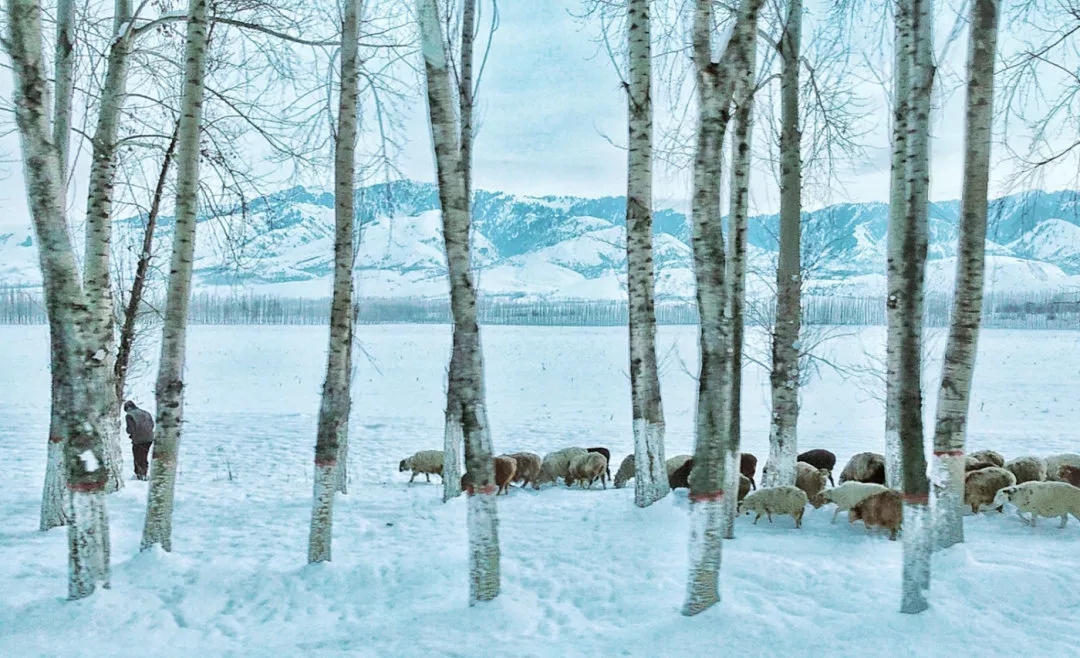 说明: http://uy.ts.cn/pic/003/520/978/00352097875_0181f80f.jpg
